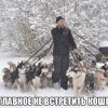 Главное, не встретить кошку Главное, не встретить кошку