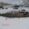 Живой уголок Живой уголок
