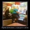 Свои приключения