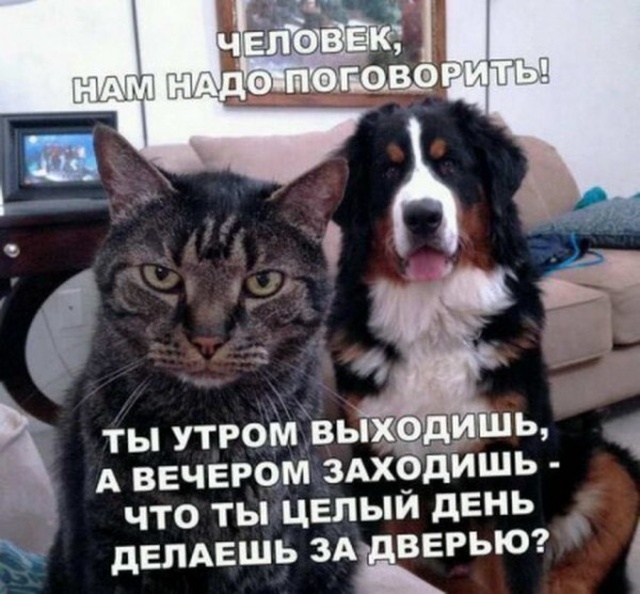 Надо поговорить