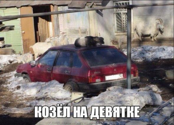 C6ed46a91be07960f6528ff0266 prev