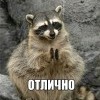 одлично)))))