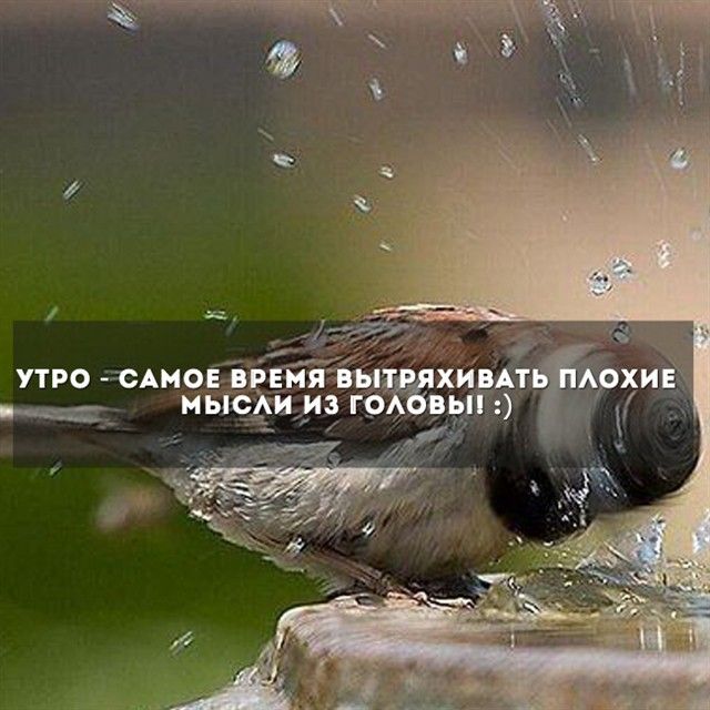 Встряхните мысли