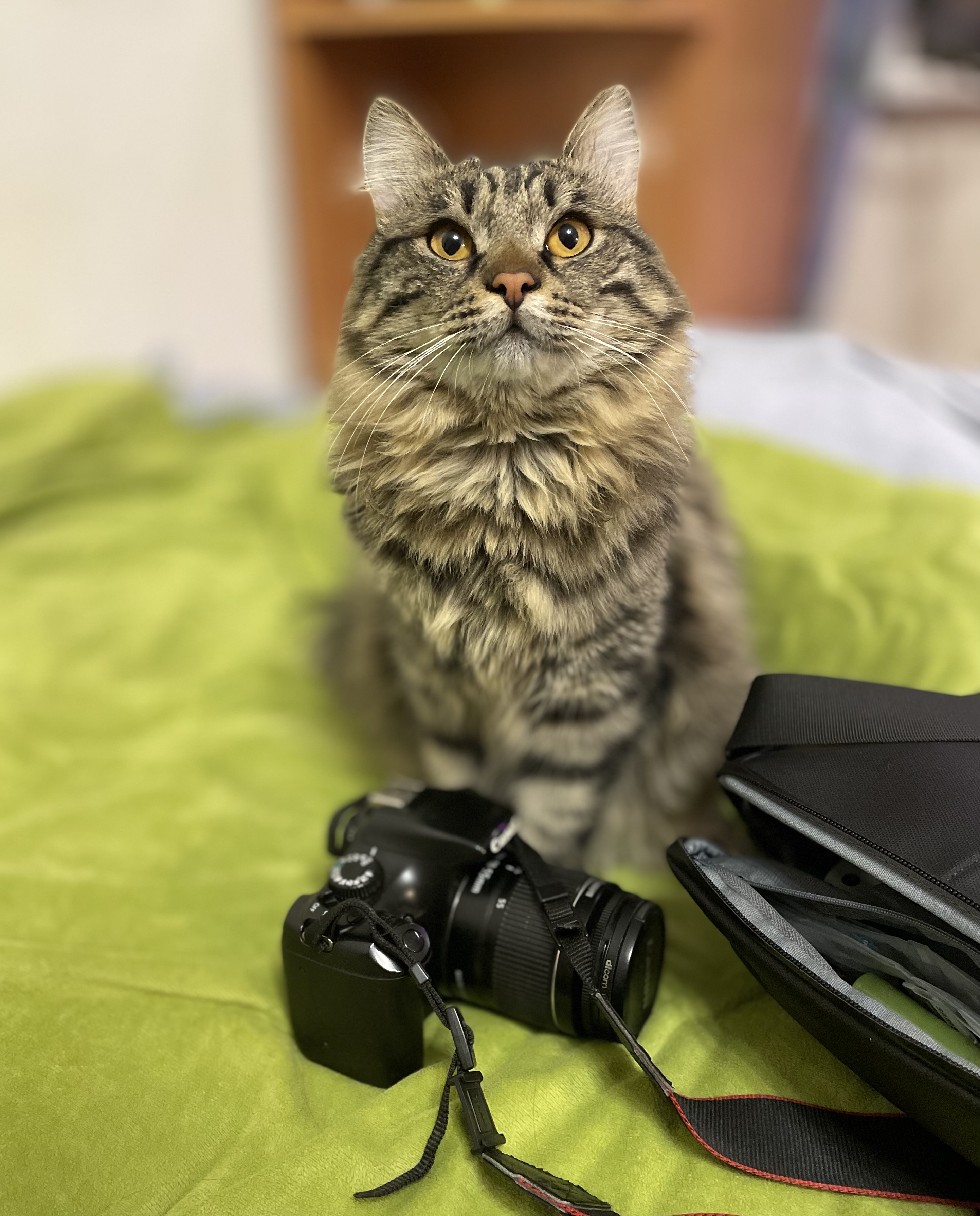 Так, ага! А потом нажать?