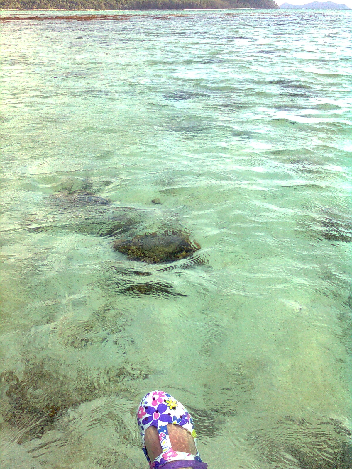 Коралловый тапочек 