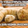 Без сил