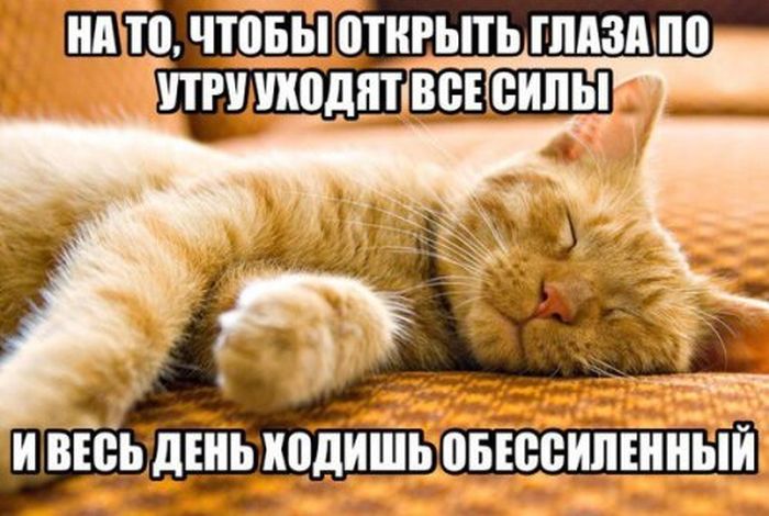 Без сил