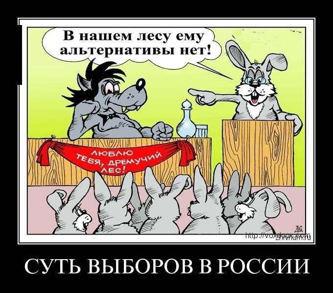 Суть выборов