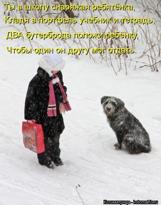 D498999e9930c37ec44b78a8586