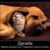 Дружба