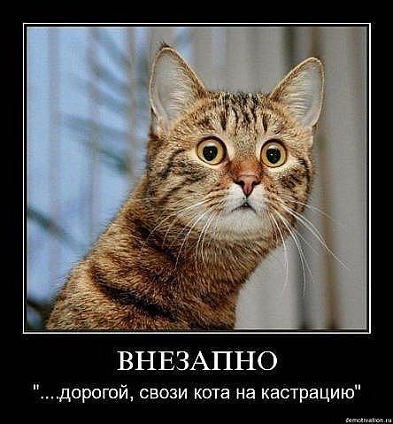 Упс ..