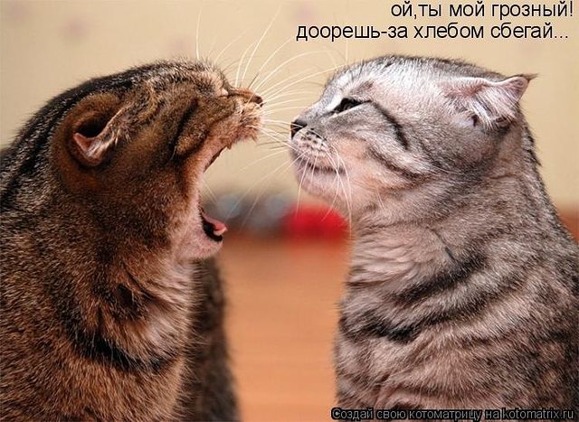 Дела семейные ..