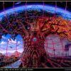 Alexgrey19 Alexgrey19