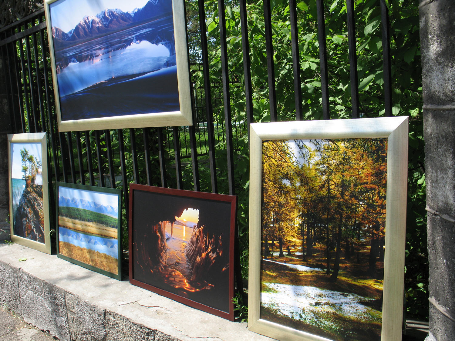 Фотографии