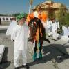 И даже если с крыльями, то всё равно сидят…