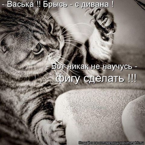 фигура из пяти коготков ..