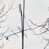 Со своими антеннами ангарчане снова стали выходить на крыши