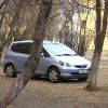 Авто на газонах