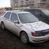 Разрисовали 2
