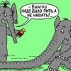 Виагра Виагра