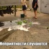 Неприятности