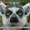 узбагаивайзя))))) узбагаивайзя)))))