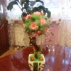 IMG 2543[1]