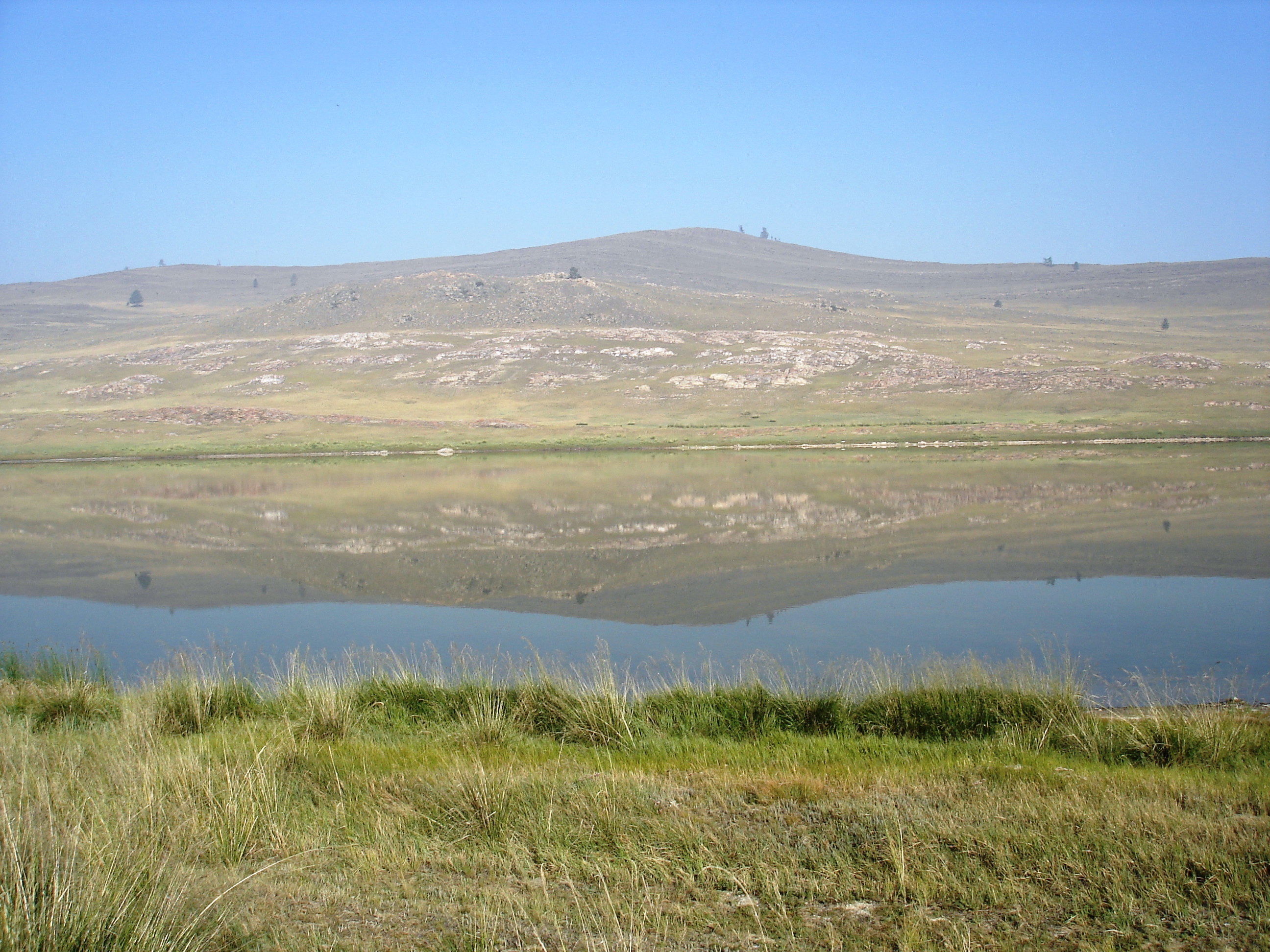 Пленер 2013