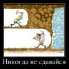 Никогда не сдавайся