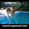 Самый надежный Нянь