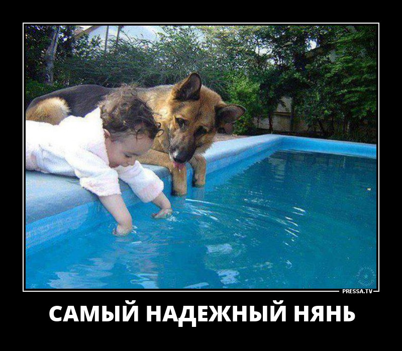 Самый надежный Нянь