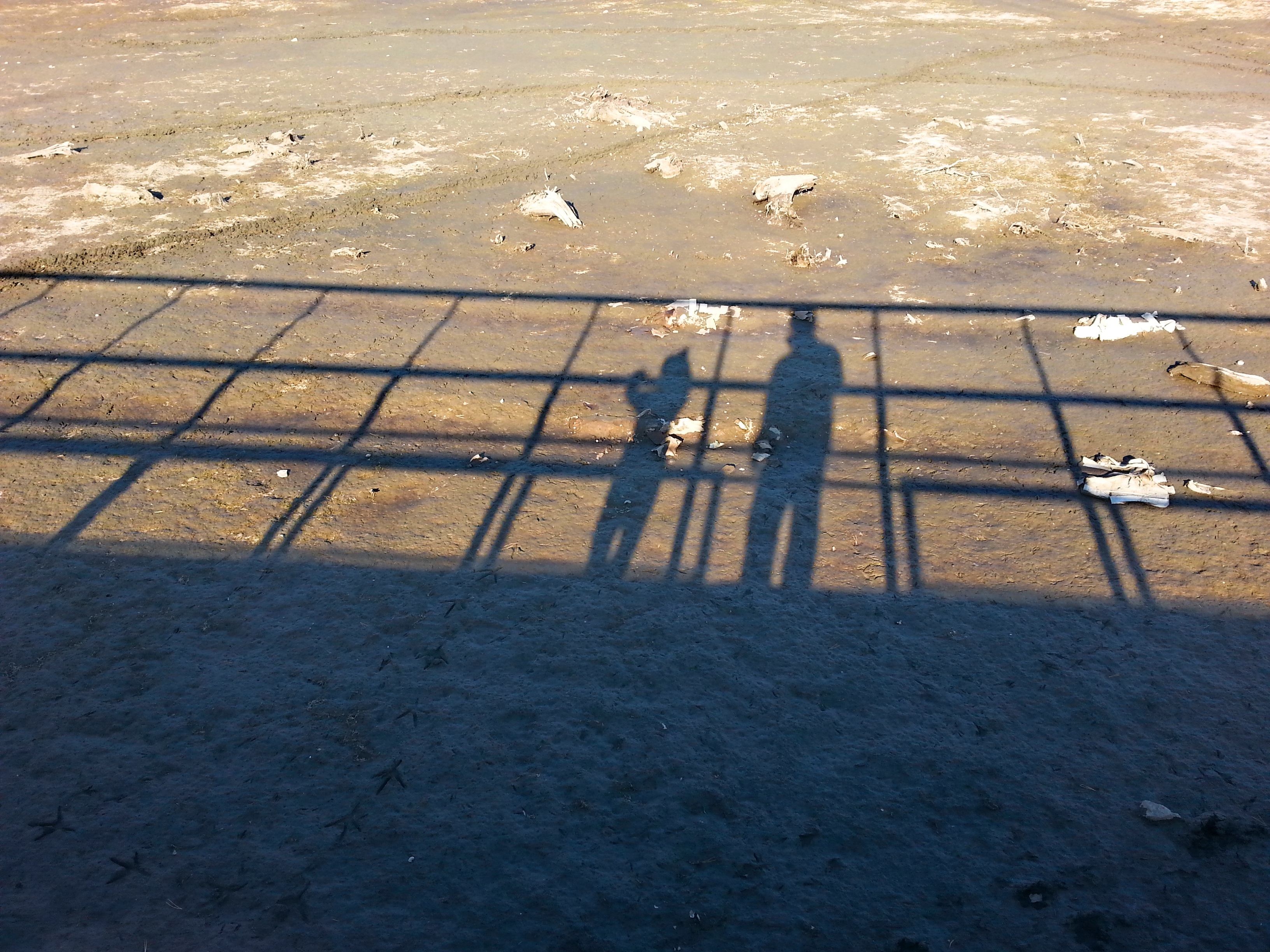 Сирёгина тень и тень дружбанцкая)))))