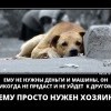 Просто нужен хозяин