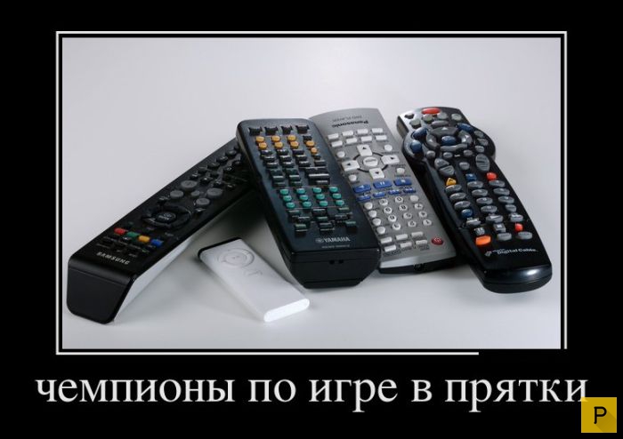 Чемпионы по игре в прятки