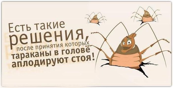 Тараканы аплодируют