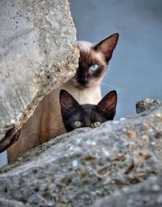 D31c05914109dd8632c1a1cd2f2