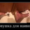 Ловушка Ловушка