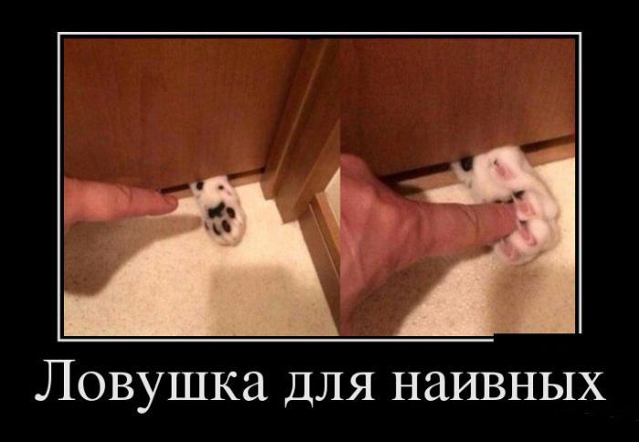Ловушка