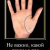 Линия жизни