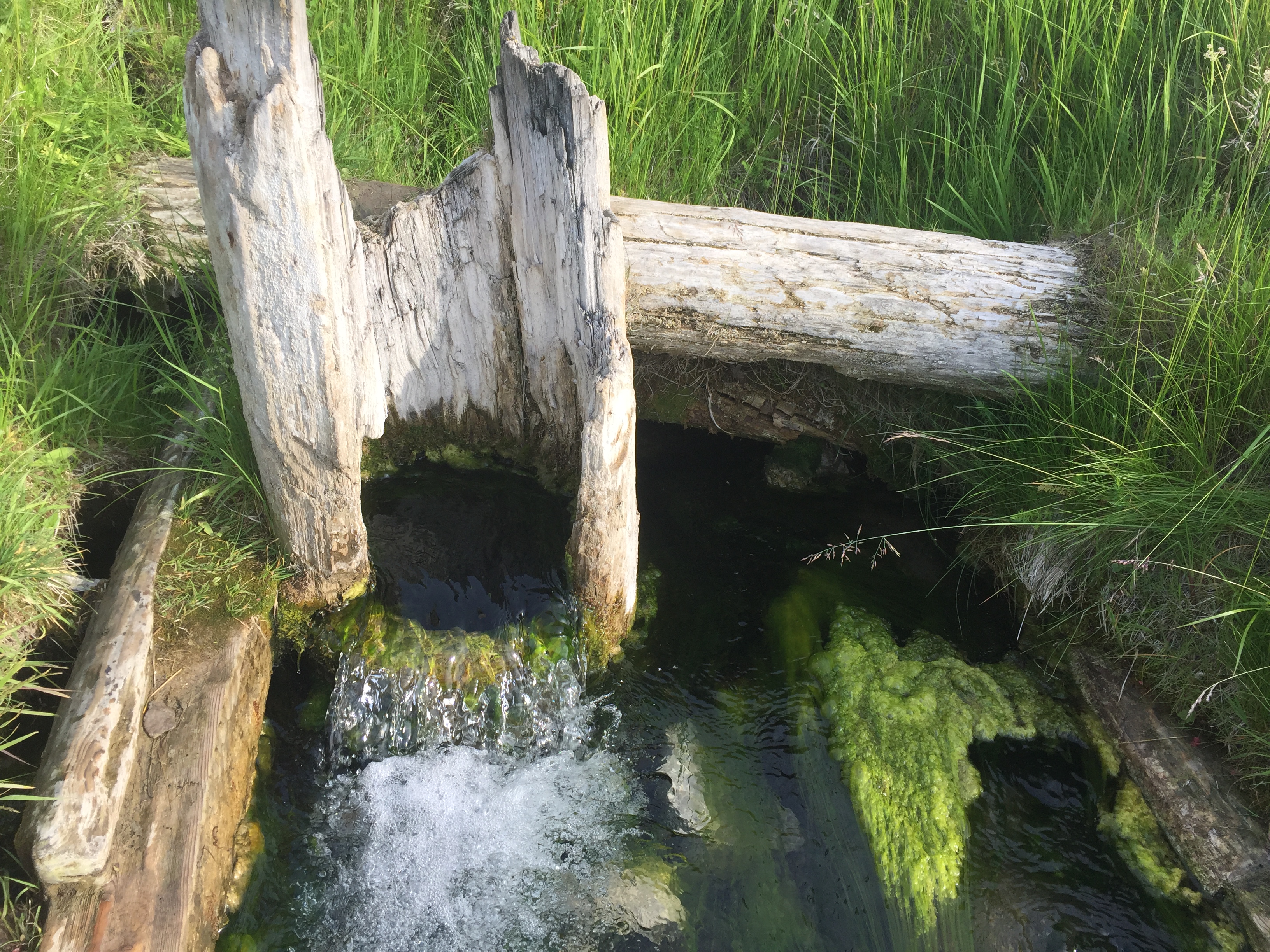 Восьмое чудо света 