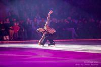 ЗолотойЛёд-044