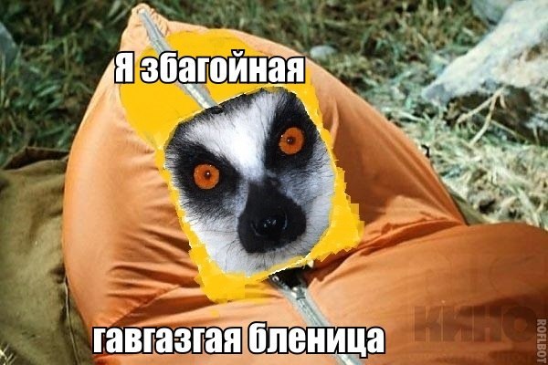 збагойная гавгазская бленица))))))