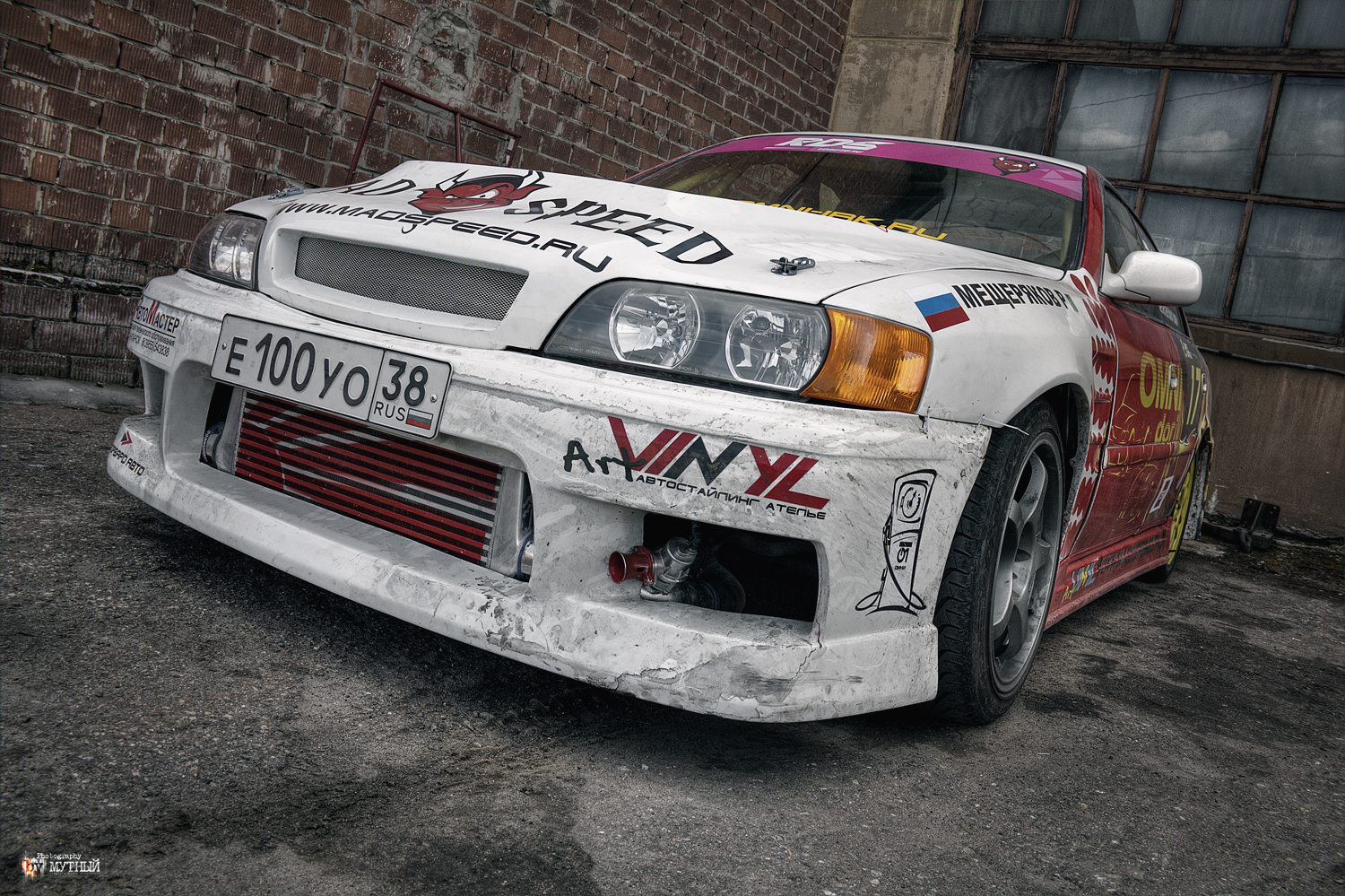 Чайзер на тренировке