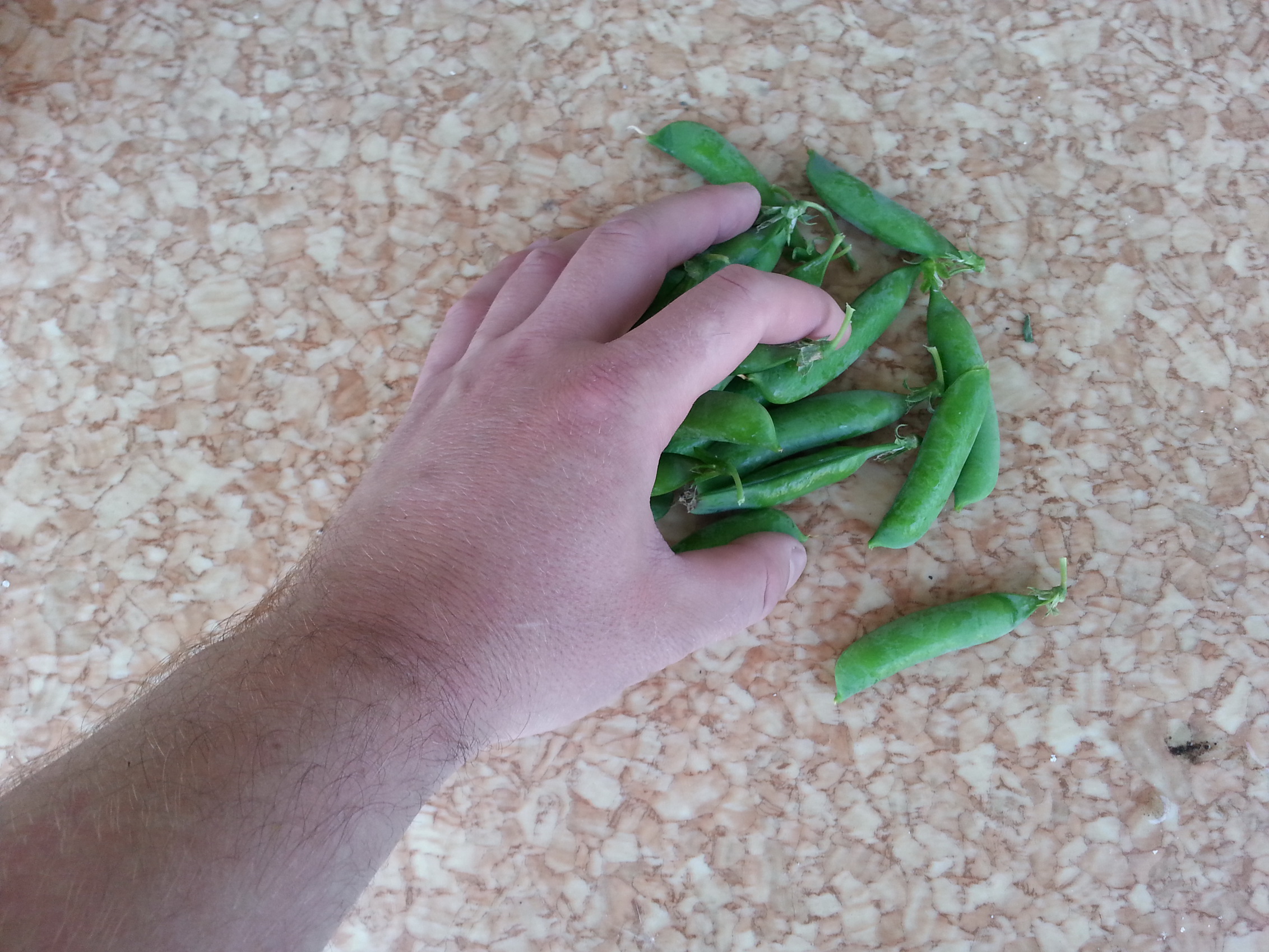 Сирёгина рука коия хищно тянеца к гароху))))))