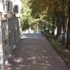 IMG 4436 IMG 4436