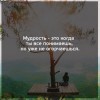 Мудрость Мудрость