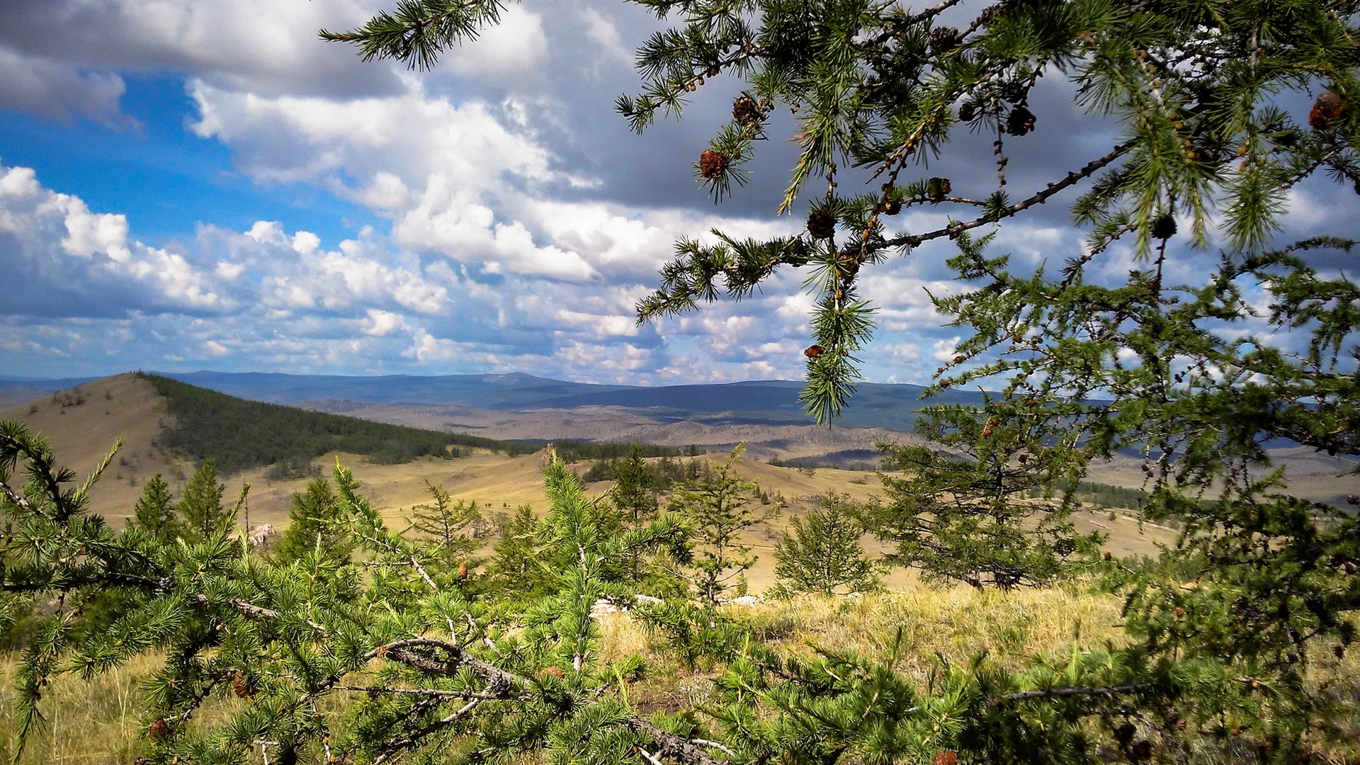 Вид из окна... Смотрю на Небо...