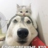 Единственные Единственные