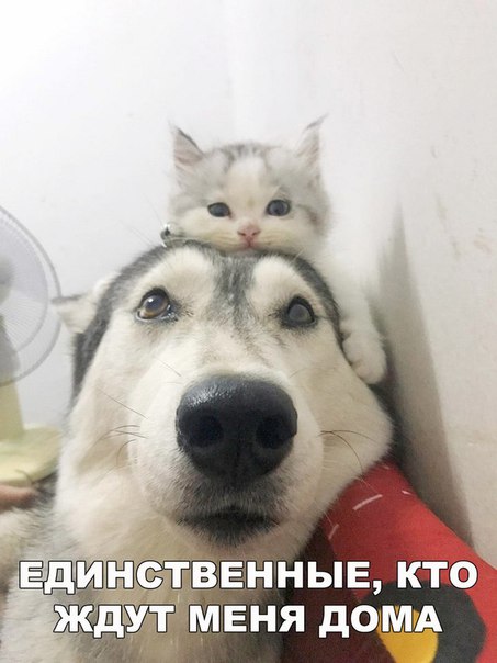 Единственные
