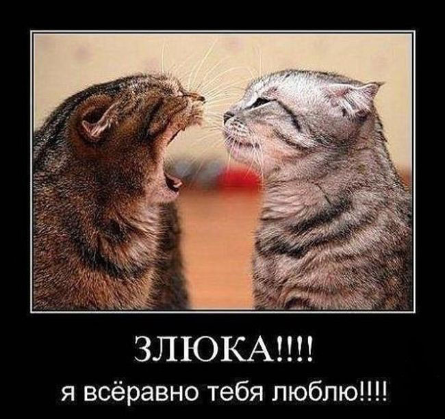 Злюка